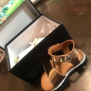 Toddler Shoes
